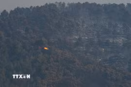 Cây cối bị thiêu rụi do cháy rừng tại Barcelona, Tây Ban Nha. (Ảnh: THX/TTXVN phát)