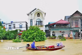 Người dân thôn Kênh Gà (Ninh Bình) vẫn duy trì nhịp sống, sinh hoạt trên những chiếc thuyền lưu động trong mùa nước lũ. (Ảnh: Thùy Dung/TTXVN)