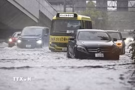 Ngập lụt sau mưa lớn tại Nagoya, Nhật Bản ngày 8/9/2026. (Ảnh: Kyodo/TTXVN phát)