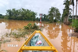(Ảnh minh họa: Tường Vi/TTXVN)