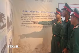 Các đại biểu tham quan triển lãm. (Ảnh: Hoài Nam/TTXVN)