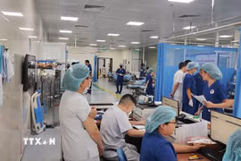 Phần lớn bệnh nhân đang được cấp cứu tại Bệnh viện ngoại khoa 115 Nghệ An. (Ảnh: Văn Tý/TTXVN)
