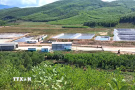 Trang trại chăn nuôi heo Minh Phúc dù nằm ở xa khu dân cư nhưng mùi hôi vẫn ảnh hưởng đến nhà người dân. (Ảnh: Tường Quân/TTXVN)