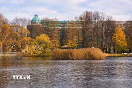 Bức tranh mùa Thu vàng tại vườn Tauride ở St. Petersburg, Nga ngày 27/10/2026. (Ảnh: THX/TTXVN phát)