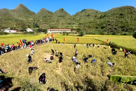 Du khách được tham gia trải nghiệm hoạt động bắt cá tại lễ hội. (Nguồn: Cổng thông tin điện tử tỉnh Tuyên Quang)