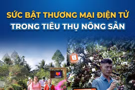 Sức bật thương mại điện tử trong tiêu thụ nông sản