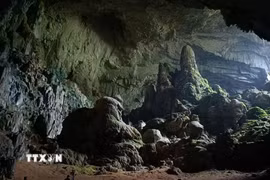 Nằm trong Khu bảo tồn thiên nhiên Pù Luông, hang Dơi được xem là một kỳ quan địa chất hàng trăm triệu năm tuổi, với vẻ đẹp kỳ bí, hoang sơ. (Ảnh: Hoa Mai/TTXVN)