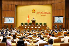 Quang cảnh phiên họp sáng 20/8. (Ảnh: Doãn Tấn/TTXVN)
