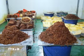 Nguyên liệu đang được chế biến. (Ảnh: Công an Đồng Nai/TTXVN phát)
