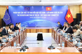 Phiên họp lần thứ 7 Ủy ban hỗn hợp Việt Nam-EU. (Ảnh: An Đăng/TTXVN)