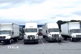 Các xe tải hạng nặng tại một bãi đỗ xe ven đường cao tốc I-95 North ở bang Delaware. (Ảnh: Đoàn Hùng/TTXVN)