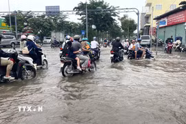 Nhiều phương tiện di chuyển khó khăn do triều cường trên đường Nguyễn Lương Bằng, thành phố Hồ Chí Minh, ngày 6/11/2025. (Ảnh: Hương Giang/TTXVN)