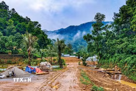 Một khu vực có dấu hiệu bị san gạt, cải tạo mặt bằng giữa rừng phòng hộ Sóc Sơn, xã Kim Anh, Hà Nội. (Ảnh: Trung Nguyên/TTXVN)