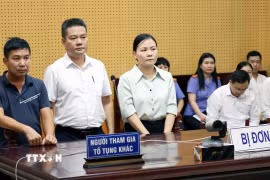 Người tham gia tố tụng. (Ảnh: TTXVN phát)