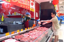 Người dân ưu tiên lựa chọn thịt lợn có nguồn gốc xuất xứ trong siêu thị tại Thành phố Hồ Chí Minh. (Ảnh: Hương Giang/TTXVN)