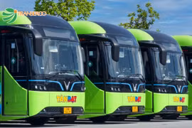 Xe buýt điện thay thế xe chạy dầu hoạt động trên tuyến buýt số 33 từ ngày 12/10. (Ảnh: Transerco)