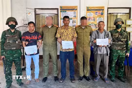Lực lượng chuyên án đã đấu tranh, bắt giữ 3 đối tượng người Lào có liên quan vụ việc, gồm: A Mày (sinh năm 1962), Thạo A Lăm (sinh năm 1983) và Thạo Đỏ (sinh năm 1981). (Ảnh: TTXVN phát)