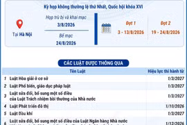 Các luật, nghị quyết quy phạm pháp luật được thông qua tại Kỳ họp không thường lệ thứ Nhất, Quốc hội khóa XVI