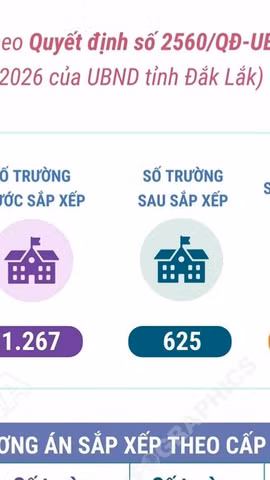 Phương án tổng thể sắp xếp các cơ sở giáo dục công lập tại tỉnh Đắk Lắk 