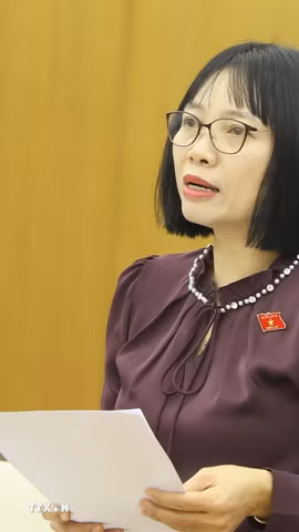 Đại biểu Quốc hội Nguyễn Thị Việt Nga phát biểu khai mạc tọa đàm lấy ý kiến xây dựng pháp luật liên quan đến hàng hải, môi trường biển. (Ảnh: Minh Thu/TTXVN)