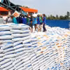Trên thị trường xuất khẩu, giá gạo 5% tấm của Việt Nam tiếp tục đi ngang ở mức từ 430-450 USD/tấn trong bối cảnh nhu cầu thấp. (Ảnh: Hồng Đạt/TTXVN)