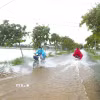 Nhiều đoạn đường dân sinh trên địa bàn các xã Diễn Châu, Đức Châu, An Châu (Nghệ An) bị ngập do mưa lớn. (Ảnh: Xuân Tiến/TTXVN)