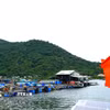 Mô hình nuôi cá lồng trên biển tại đặc khu Kiên Hải, An Giang. (Ảnh: Văn Sĩ/TTXVN)