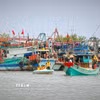 Lực lượng chức năng đến từng tàu thuyền tuyên truyền nhằm nâng cao nhận thức của cộng đồng ngư dân về gỡ thẻ vàng IUU. (Ảnh: Huỳnh Anh/TTXVN)