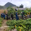 Lực lượng ở cơ sở hỗ trợ người dân vận chuyển vật liệu xây dựng nhà ở. (Ảnh Minh Tâm/Vietnam+)