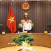 Phó Thủ tướng Hồ Quốc Dũng phát biểu. (Ảnh: An Đăng/TTXVN)