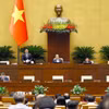Phó Chủ tịch Quốc hội Nguyễn Hồng Diên phát biểu. (Ảnh: Doãn Tấn/TTXVN)