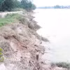 Bờ Nam sông Bồ, thành phố Huế, bị sạt lở nghiêm trọng khiến nhiều cây chỉ còn trơ lại gốc. (Ảnh: Nguyên Lý/TTXVN)