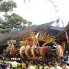 Khoảng hơn 11 giờ, pháo được rước về đình làng để làm lễ. (Ảnh: Thái Hùng/TTXVN)