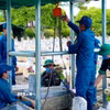Các lực lượng tổ chức triển khai lấy mẫu, số hóa thông tin và bàn giao mẫu hài cốt liệt sỹ tại Nghĩa trang liệt sỹ Vĩnh Linh (tỉnh Quảng Trị). (Ảnh: TTXVN phát)