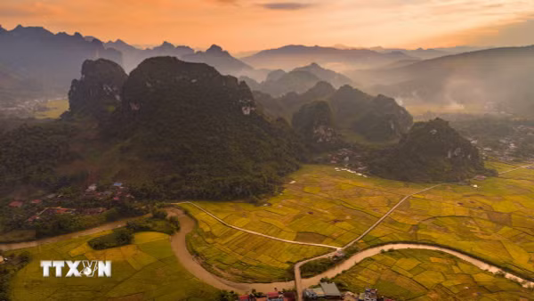 Mùa vàng trên thung lũng Chiềng Sinh ở Điện Biên