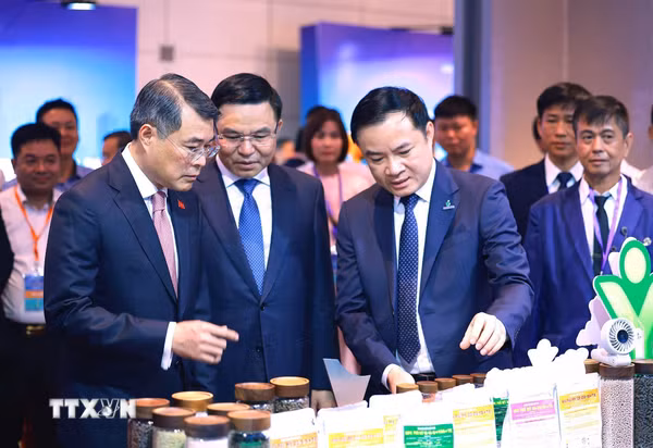 Thương hiệu quốc gia Việt Nam: Từ vinh danh quá khứ đến lời cam kết với tương lai