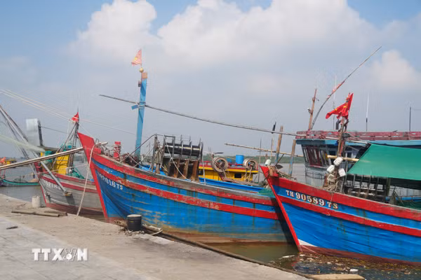 Số hóa quản lý tàu cá, minh bạch nguồn gốc thủy sản