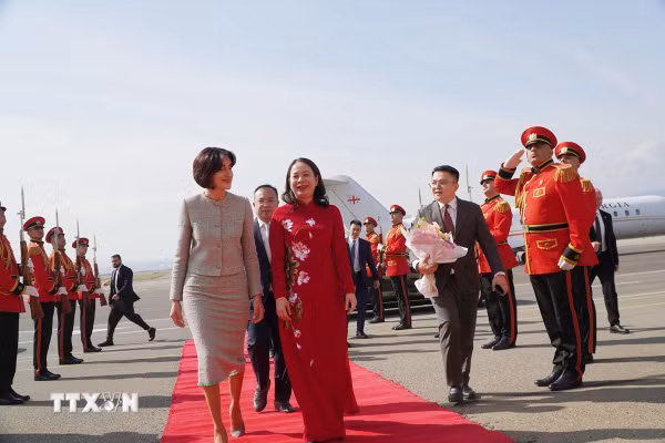 Phó Chủ tịch nước Võ Thị Ánh Xuân hội đàm với Thủ tướng Gruzia