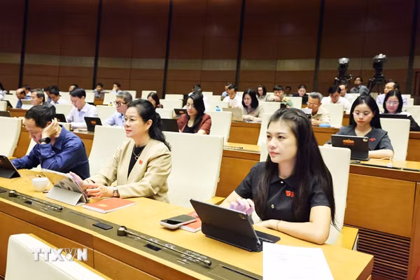 Kỳ họp thứ 2, Quốc hội khóa XVI: Xác định giám sát điện tử thay thế tạm giam
