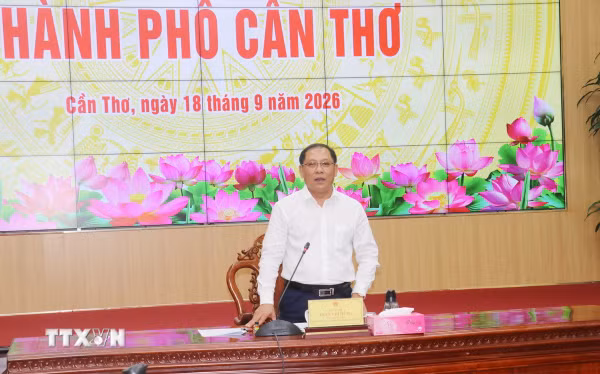 Cần Thơ đẩy nhanh chuẩn bị Festival Lúa gạo 2026