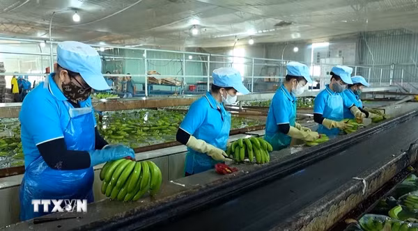Gia Lai đặt mục tiêu có 60.000 - 65.000 doanh nghiệp hoạt động vào năm 2030