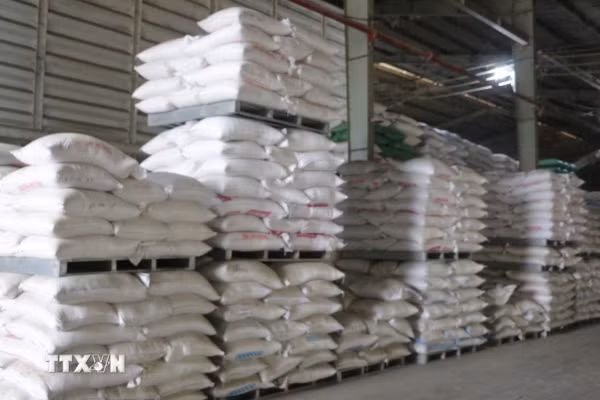 Quảng Trị: Hỗ trợ hơn 537 tấn gạo cho học sinh vùng khó khăn, biên giới