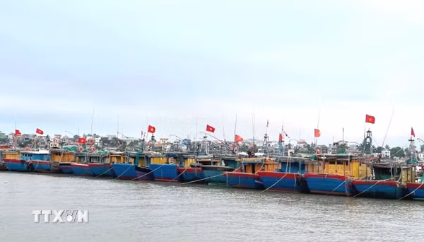 Khắc phục “thẻ vàng” IUU: Quảng Trị siết chặt quản lý hàng trăm tàu cá