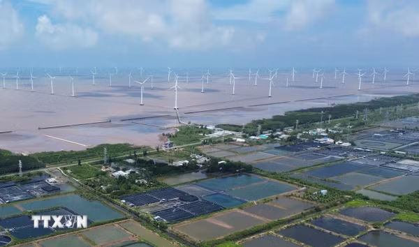 Điện gió ngoài khơi Việt Nam: Cơ hội hợp tác đầu tư với Na Uy