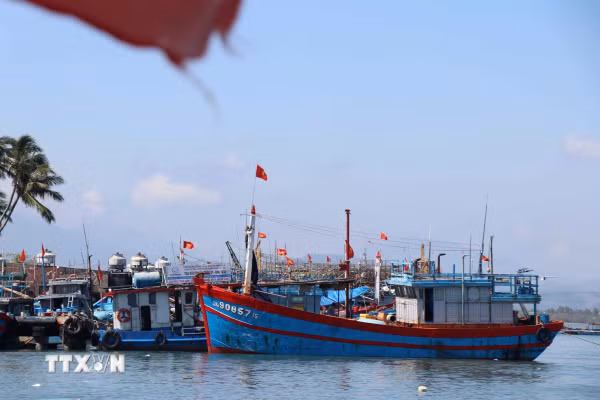 Bắt đúng “bệnh” và tuân thủ nghiêm phác đồ điều trị