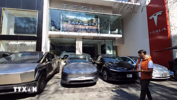 Tesla giữ ngôi vương xe nhập khẩu tại Hàn Quốc