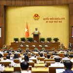 Bộ trưởng Bộ Tư pháp Hoàng Thanh Tùng, thừa ủy quyền của Thủ tướng Chính phủ trình bày Tờ trình về dự án Luật Đất đai (sửa đổi). (Ảnh: Doãn Tấn/TTXVN)
