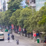 Hoa sữa trên một tuyến phố ở Hà Nội. (Nguồn: Vietnam+)