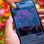 Người dân phường Long Hoa, tỉnh Tây Ninh sử dụng điện thoại thông minh để tra cứu thông tin sản phẩm nông nghiệp, góp phần thúc đẩy kinh tế số trong lĩnh vực nông nghiệp. (Ảnh: Minh Phú/TTXVN)