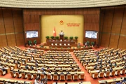 Xây dựng thể chế, giám sát